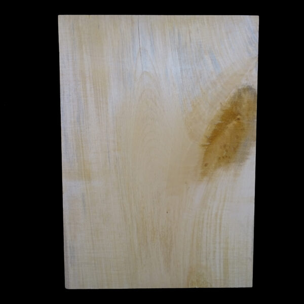 AC European Basswood Body Blank - 1 Piece - BB1PEB015 - Image 2