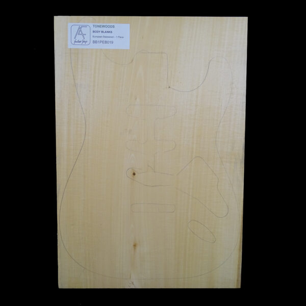 AC European Basswood Body Blank - 1 Piece - BB1PEB019