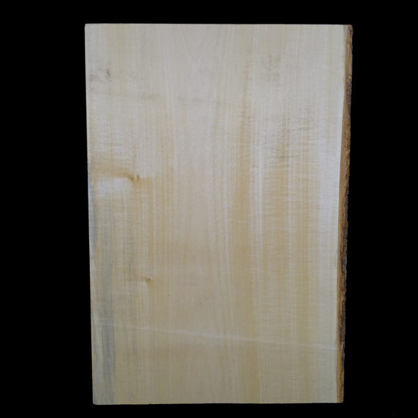 AC European Basswood Body Blank - 1 Piece - BB1PEB033 - Image 2