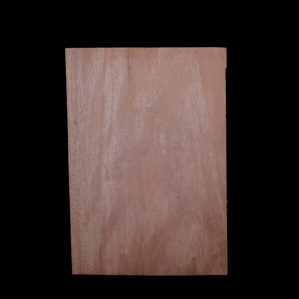 AC Khaya (African Mahogany/Acajou) Body Blank - 1 piece - BB1PK009 - Image 2