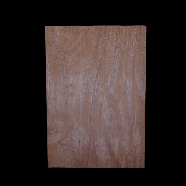 AC Khaya (African Mahogany/Acajou) Body Blank - 1 piece - BB1PK015 - Image 2