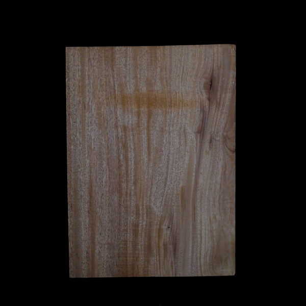 AC Khaya (African Mahogany/Acajou) Body Blank - 1 piece - BB1PK053 - Image 2