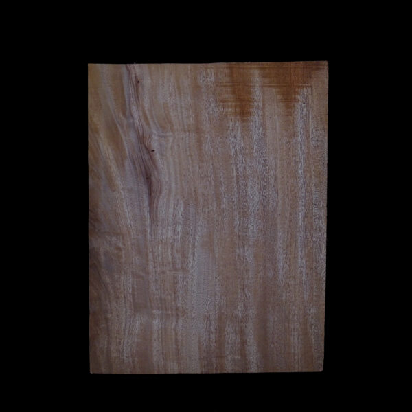 AC Khaya (African Mahogany/Acajou) Body Blank - 1 piece - BB1PK056 - Image 2