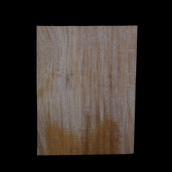 AC Khaya (African Mahogany/Acajou) Body Blank - 1 piece - BB1PK059 - Image 2