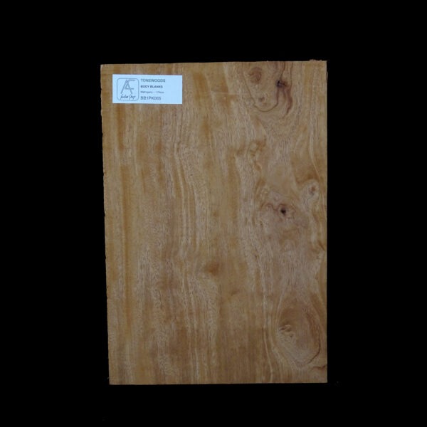 AC Khaya (African Mahogany/Acajou) Body Blank - 1 piece - BB1PK065