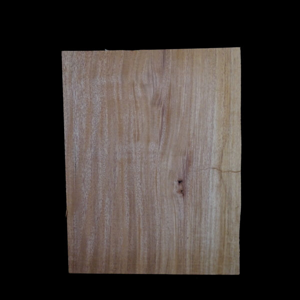 AC Khaya (African Mahogany/Acajou) Body Blank - 1 piece - BB1PK072 - Image 2