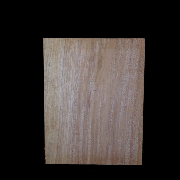 AC Khaya (African Mahogany/Acajou) Body Blank - 1 piece - BB1PK079 - Image 2