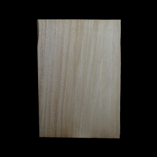 AC Khaya (African Mahogany/Acajou) Body Blank - 1 piece - BB1PK090 - Image 2