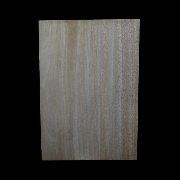 AC Khaya (African Mahogany/Acajou) Body Blank - 1 piece - BB1PK097 - Image 2