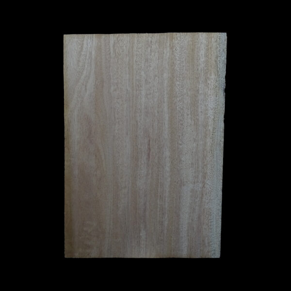 AC Khaya (African Mahogany/Acajou) Body Blank - 1 piece - BB1PK100 - Image 2