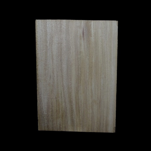 AC Khaya (African Mahogany/Acajou) Body Blank - 1 piece - BB1PK109 - Image 2