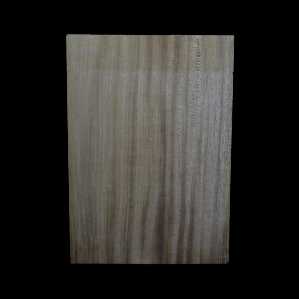 AC Khaya (African Mahogany/Acajou) Body Blank - 1 piece - BB1PK114 - Image 2