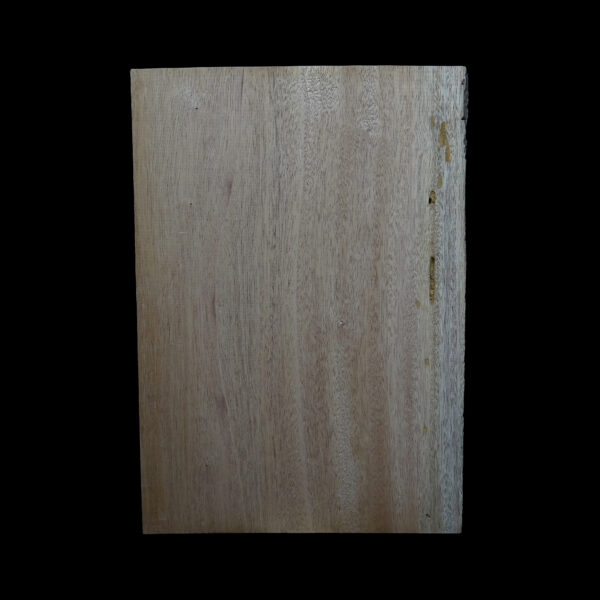 AC Khaya (African Mahogany/Acajou) Body Blank - 1 piece - BB1PK123 - Image 2