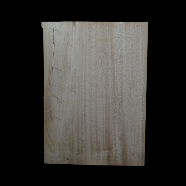 AC Khaya (African Mahogany/Acajou) Body Blank - 1 piece - BB1PK125 - Image 2