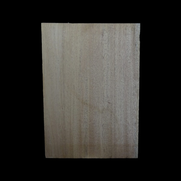 AC Khaya (African Mahogany/Acajou) Body Blank - 1 piece - BB1PK129 - Image 2