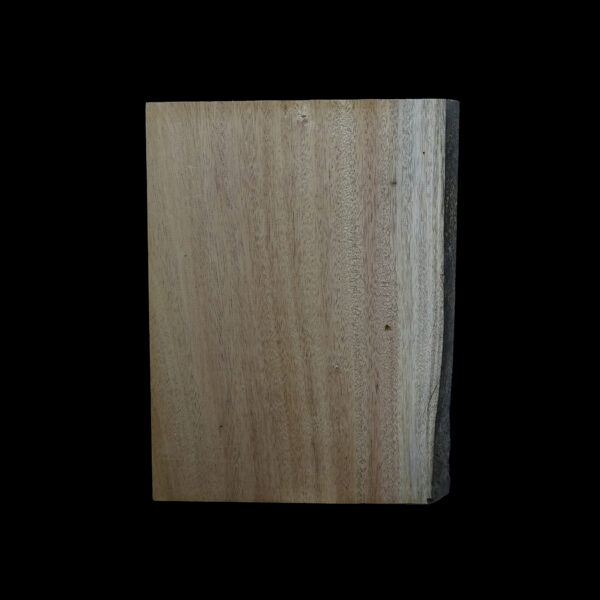 AC Khaya (African Mahogany/Acajou) Body Blank - 1 piece - BB1PK141 - Image 2