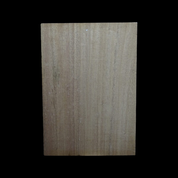 AC Khaya (African Mahogany/Acajou) Body Blank - 1 piece - BB1PK146 - Image 2