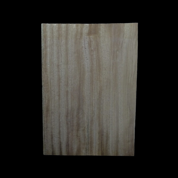 AC Khaya (African Mahogany/Acajou) Body Blank - 1 piece - BB1PK157 - Image 2