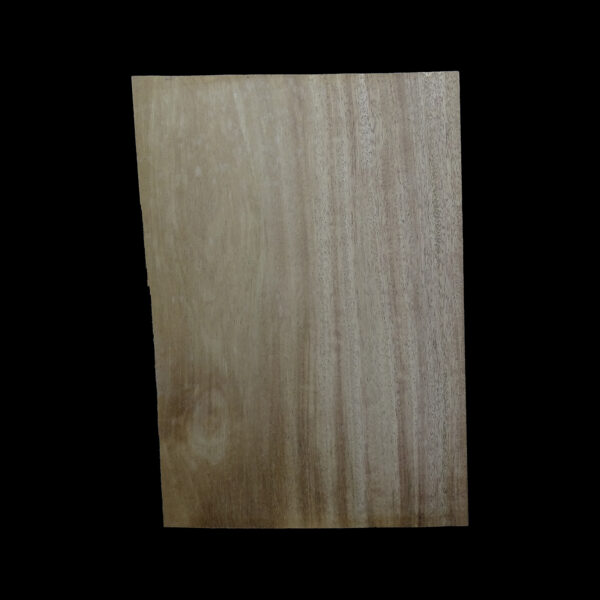 AC Khaya (African Mahogany/Acajou) Body Blank - 1 piece - BB1PK170 - Image 2