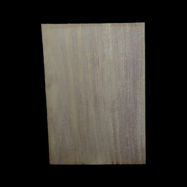 AC Khaya (African Mahogany/Acajou) Body Blank - 1 piece - BB1PK172 - Image 2