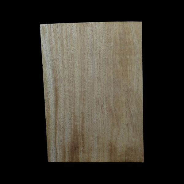 AC Khaya (African Mahogany/Acajou) Body Blank - 1 piece - BB1PK179 - Image 2