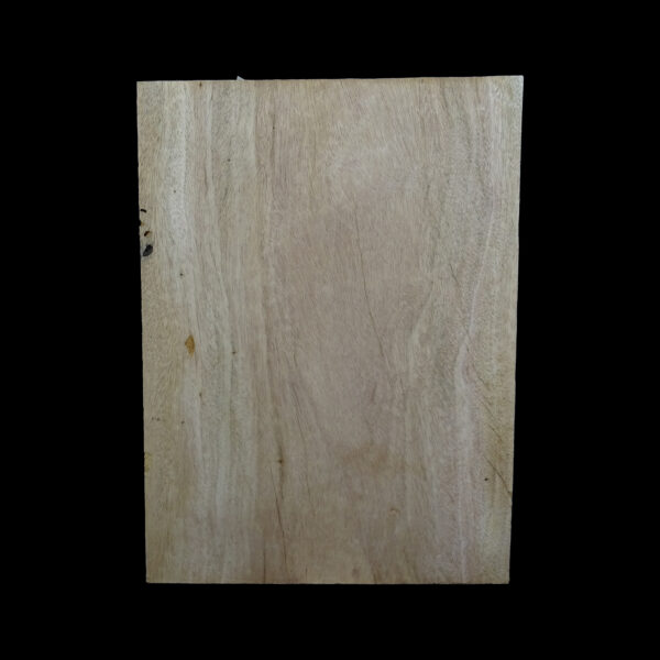 AC Khaya (African Mahogany/Acajou) Body Blank - 1 piece - BB1PK185 - Image 2