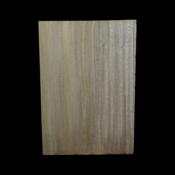 AC Khaya (African Mahogany/Acajou) Body Blank - 1 piece - BB1PK186 - Image 2