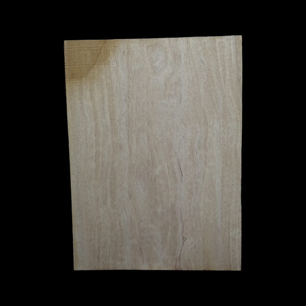 AC Khaya (African Mahogany/Acajou) Body Blank - 1 piece - BB1PK189 - Image 2