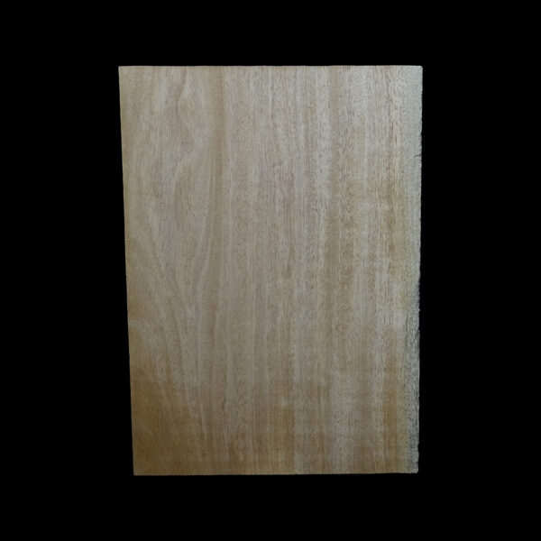 AC Khaya (African Mahogany/Acajou) Body Blank - 1 piece - BB1PK193 - Image 2