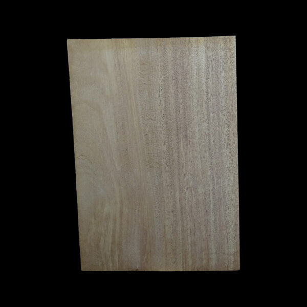 AC Khaya (African Mahogany/Acajou) Body Blank - 1 piece - BB1PK194 - Image 2