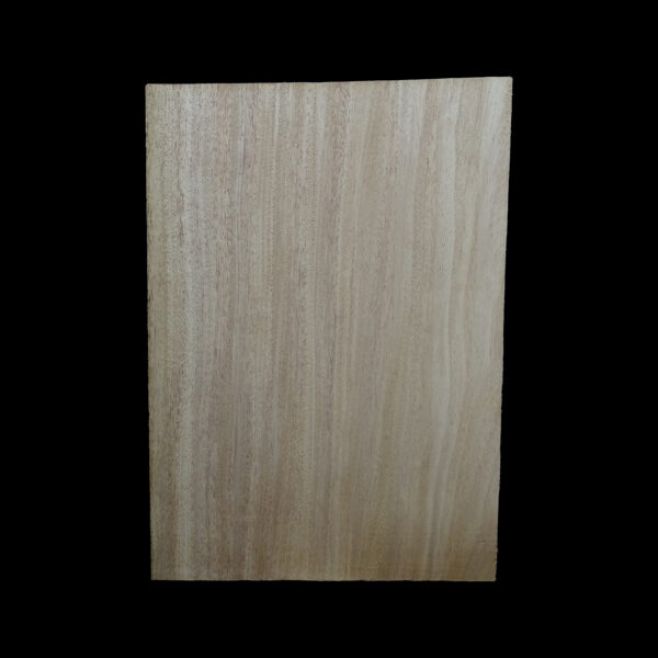 AC Khaya (African Mahogany/Acajou) Body Blank - 1 piece - BB1PK197 - Image 2