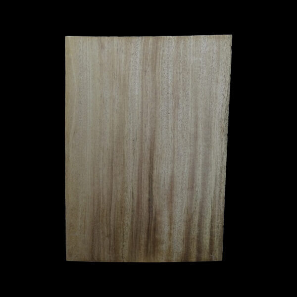 AC Khaya (African Mahogany/Acajou) Body Blank - 1 piece - BB1PK198 - Image 2