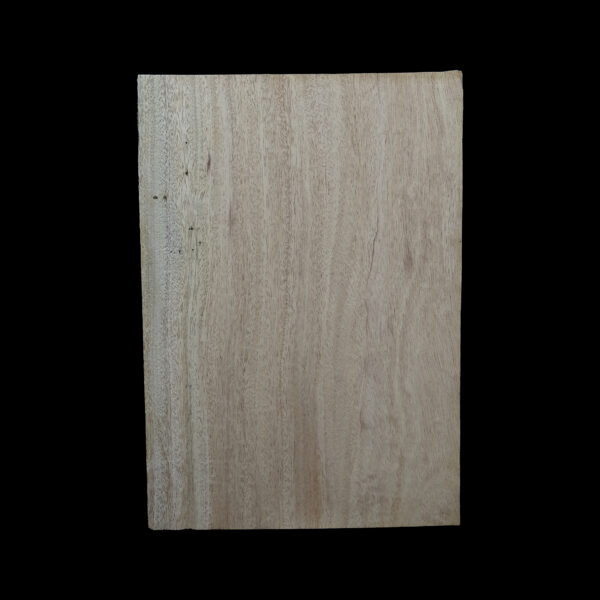 AC Khaya (African Mahogany/Acajou) Body Blank - 1 piece - BB1PK199 - Image 2