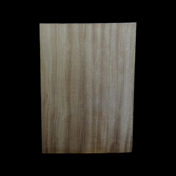 AC Khaya (African Mahogany/Acajou) Body Blank - 1 piece - BB1PK202 - Image 2