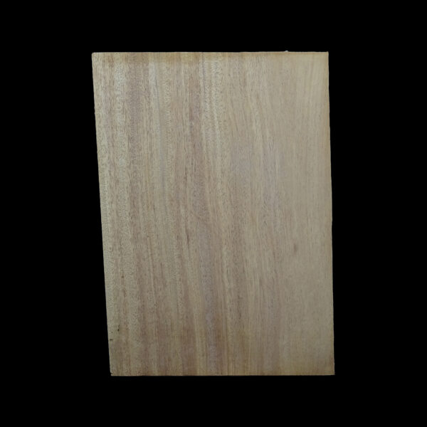 AC Khaya (African Mahogany/Acajou) Body Blank - 1 piece - BB1PK209 - Image 2