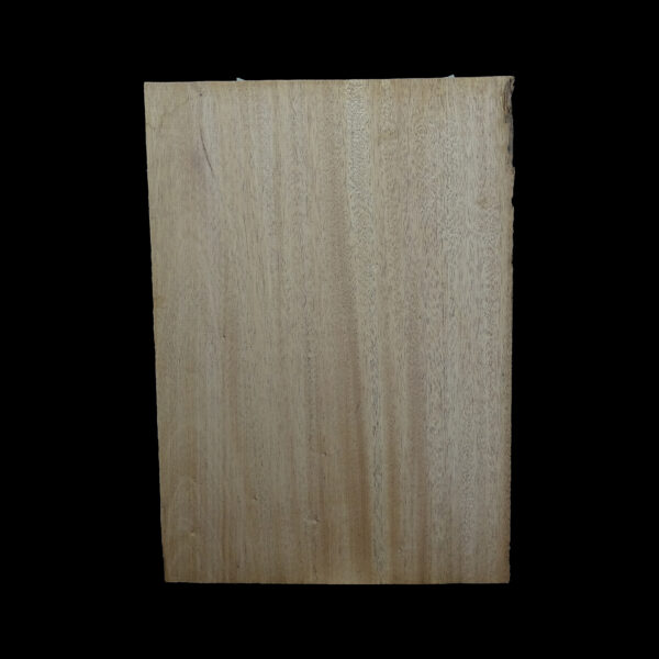 AC Khaya (African Mahogany/Acajou) Body Blank - 1 piece - BB1PK216 - Image 2