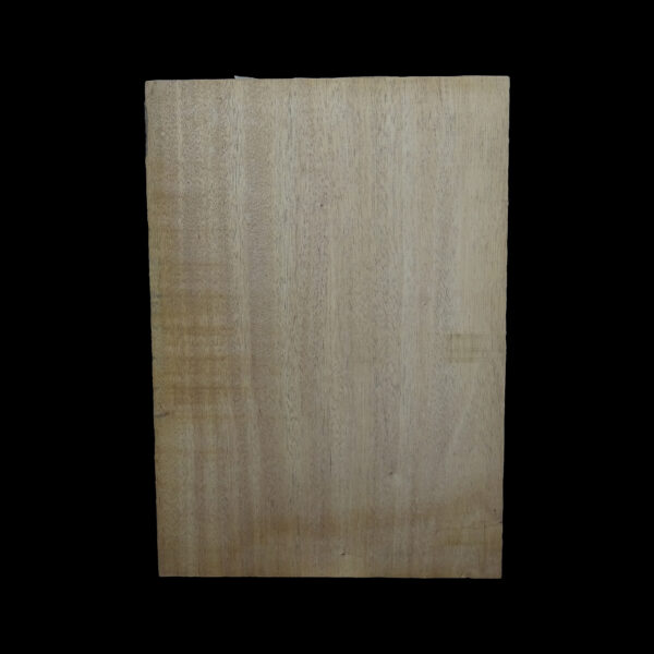 AC Khaya (African Mahogany/Acajou) Body Blank - 1 piece - BB1PK217 - Image 2