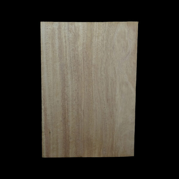 AC Khaya (African Mahogany/Acajou) Body Blank - 1 piece - BB1PK221 - Image 2