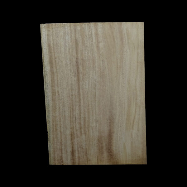 AC Khaya (African Mahogany/Acajou) Body Blank - 1 piece - BB1PK224 - Image 2