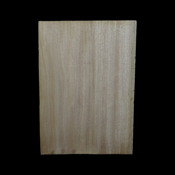 AC Khaya (African Mahogany/Acajou) Body Blank - 1 piece - BB1PK231 - Image 2