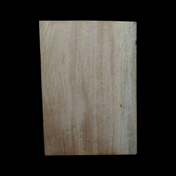 AC Khaya (African Mahogany/Acajou) Body Blank - 1 piece - BB1PK233 - Image 2