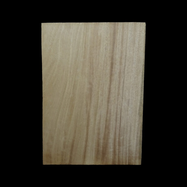 AC Khaya (African Mahogany/Acajou) Body Blank - 1 piece - BB1PK237 - Image 2