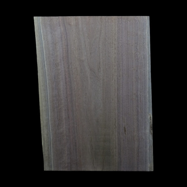 AC American Walnut Body Blank 1 Piece - BB1PW034 - Image 2