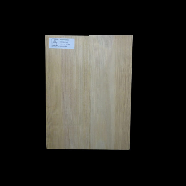 AC European Ash Body Blank 2 Pieces - BB2PEA023