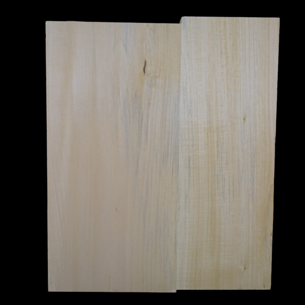 AC European Basswood Body Blank - 2 Piece - BB2PEB007 - Image 2