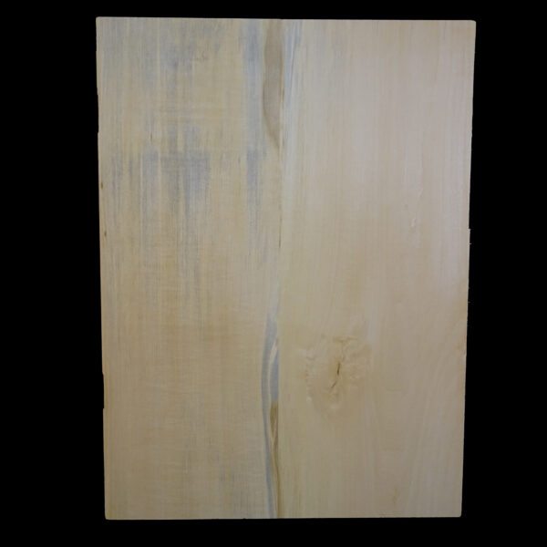 AC European Basswood Body Blank - 2 Piece - BB2PEB010 - Image 2