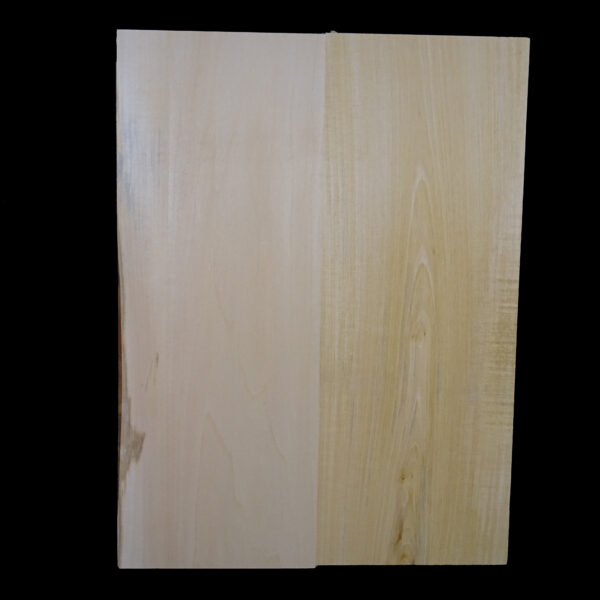 AC European Basswood Body Blank - 2 Piece - BB2PEB015 - Image 2