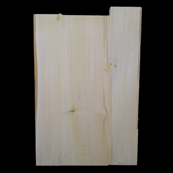 AC European Basswood Body Blank - 3 Piece - BB3PEB009 - Image 2