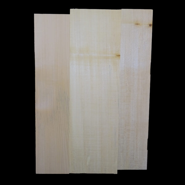 AC European Basswood Body Blank - 3 Piece - BB3PEB010 - Image 2